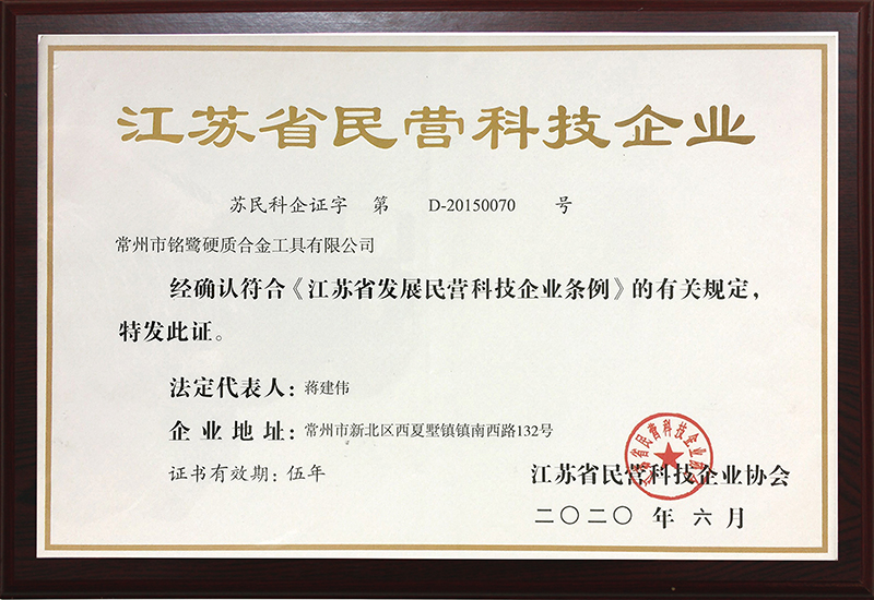 2020民營科技企業